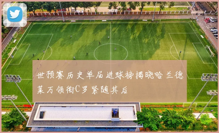世预赛历史单届进球榜揭晓哈兰德莱万领衔C罗紧随其后