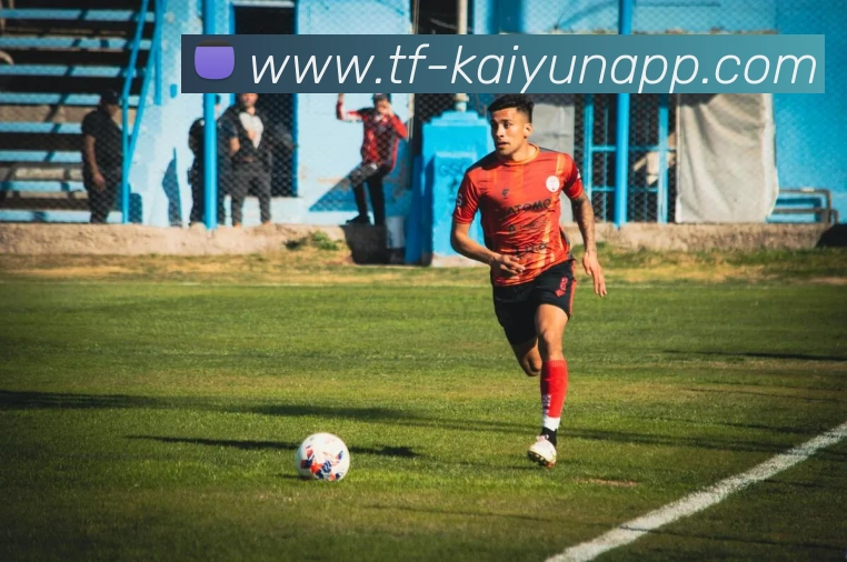 开云体育APP 封面图