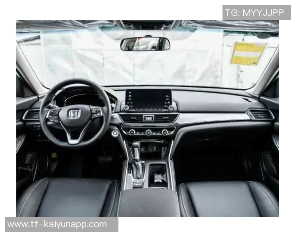 本赛季性价比最高的合同分析里夫斯与吉迪的精彩表现对比